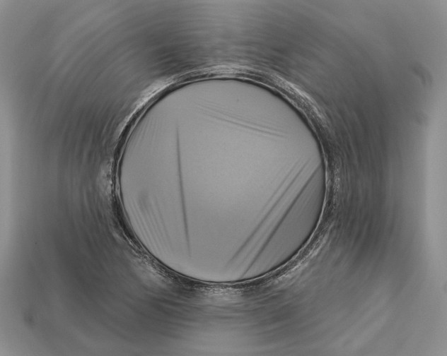 X0000113051170200909241449