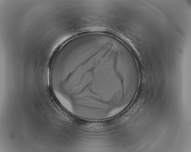 X0000113051171200909241449