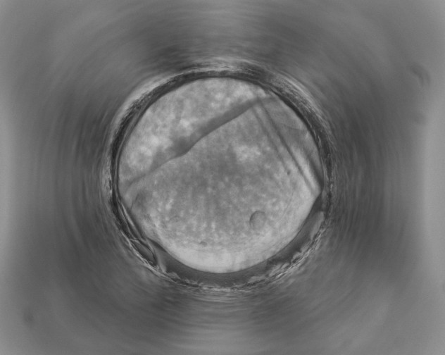 X0000113051172200909241449
