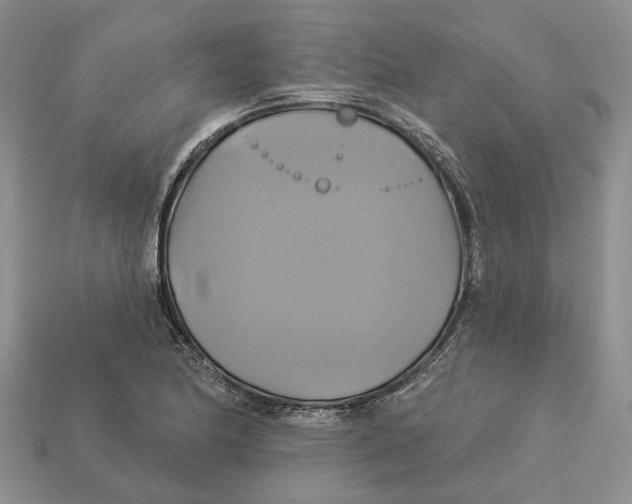 X0000113051174200909241449