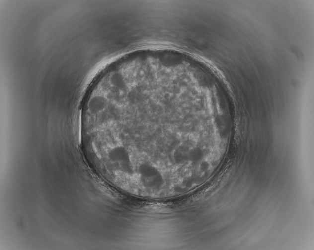 X0000113051175200909241449