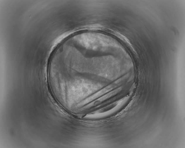 X0000113051176200909241449