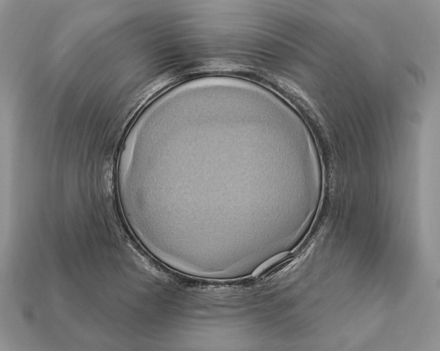 X0000113051177200909241449