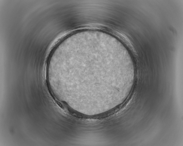 X0000113051180200909241449