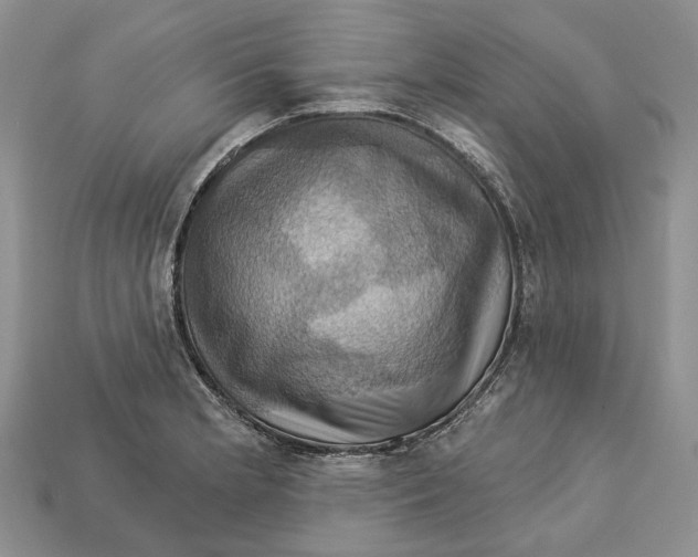 X0000113051181200909241449
