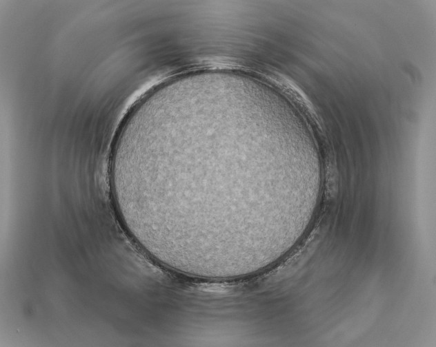 X0000113051182200909241449