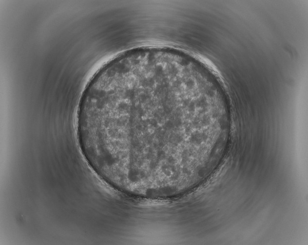 X0000113051183200909241449