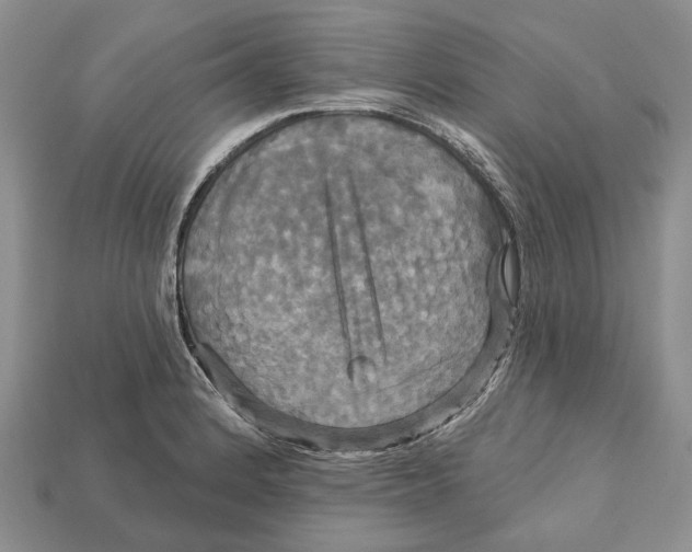 X0000113051184200909241449
