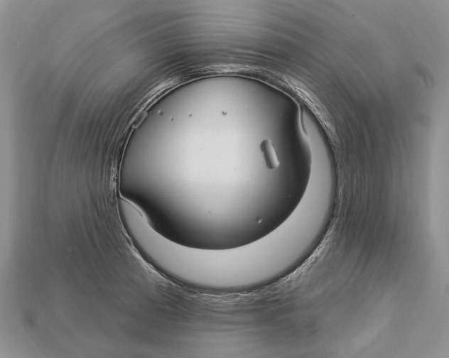 X0000113051185200909241449