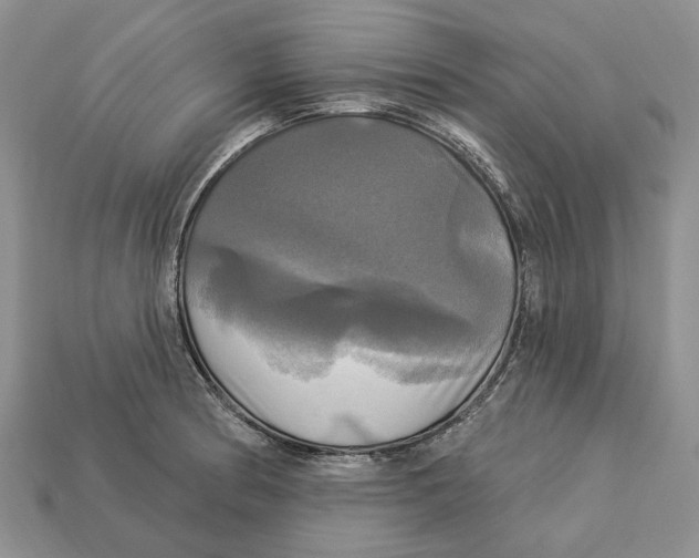 X0000113051186200909241449