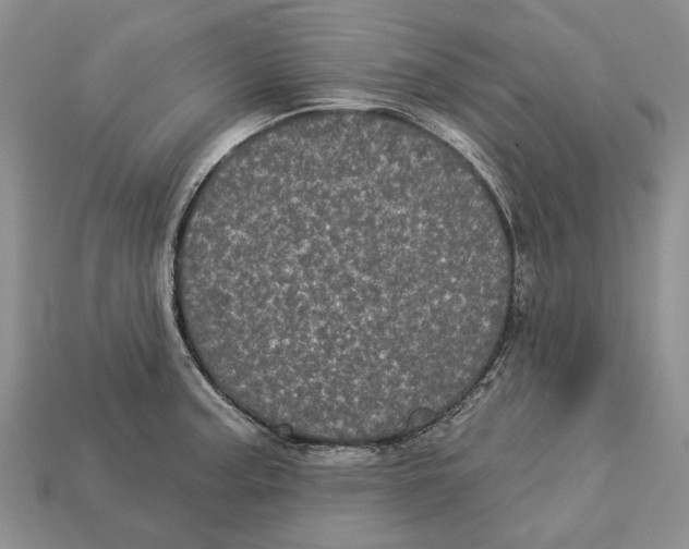 X0000113051187200909241449