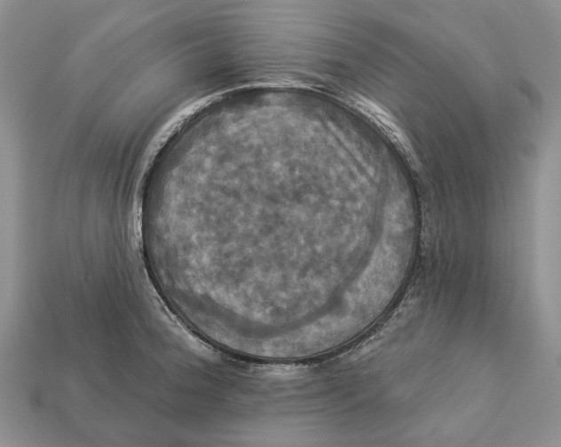 X0000113051188200909241449