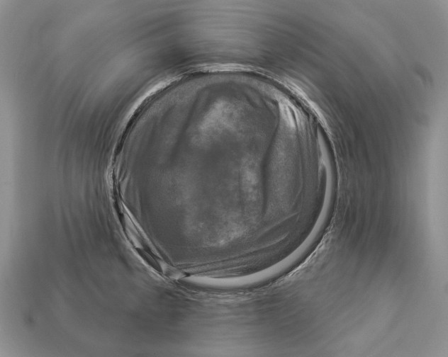 X0000113051189200909241449