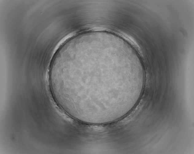X0000113051190200909241449