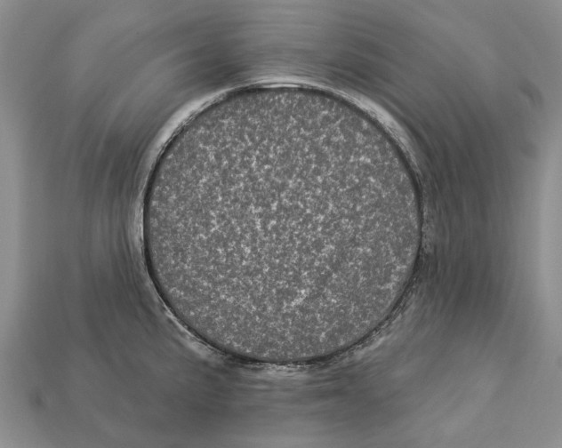 X0000113051191200909241449