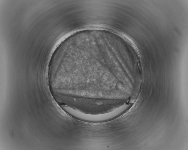X0000113051192200909241449