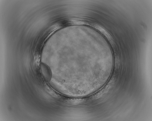 X0000113051193200909241449