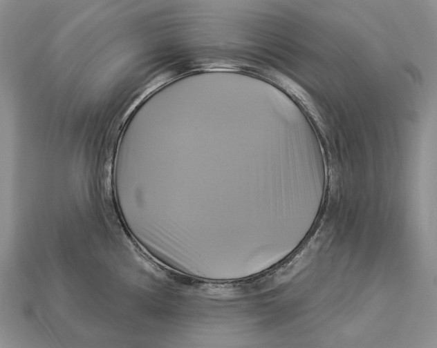 X0000113051194200909241449