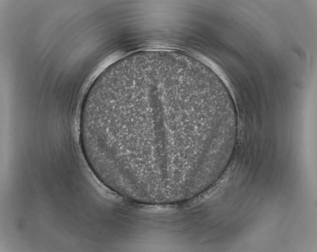 X0000113051195200909241448