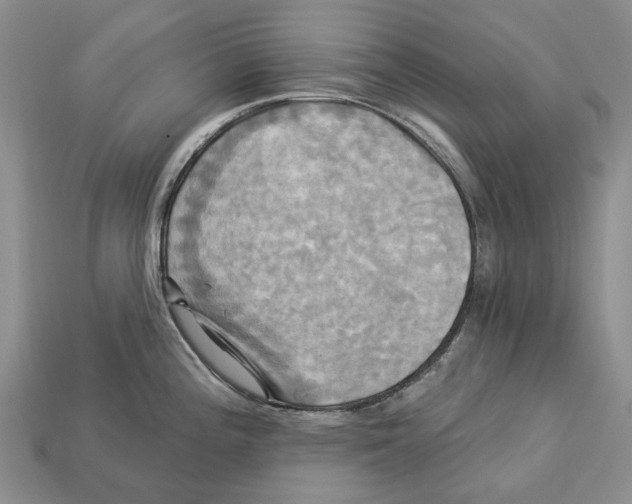 X0000113051196200909241448