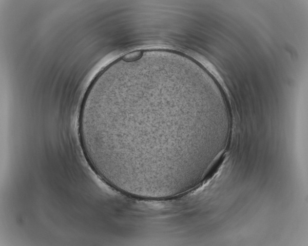 X0000113051197200909241448