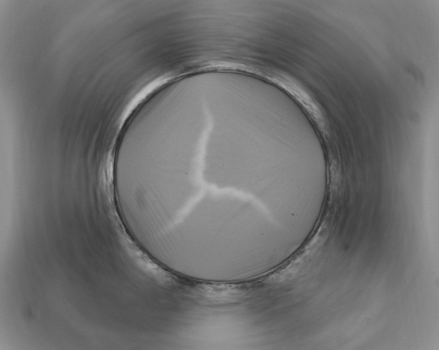 X0000113051198200909241448