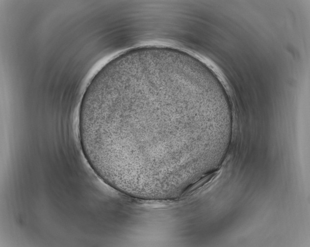 X0000113051199200909241448
