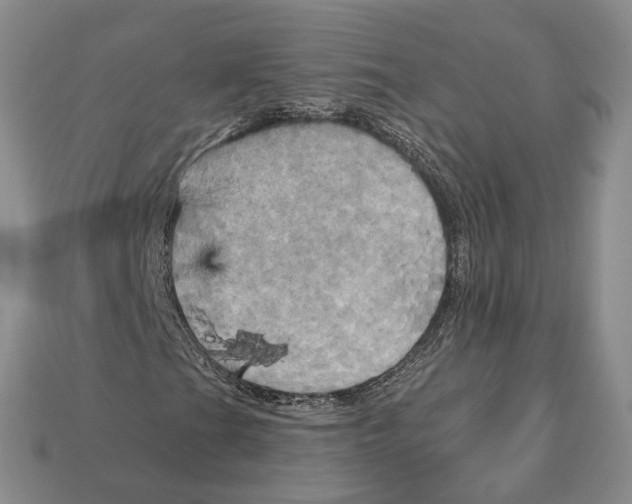 X0000113051201200909241448