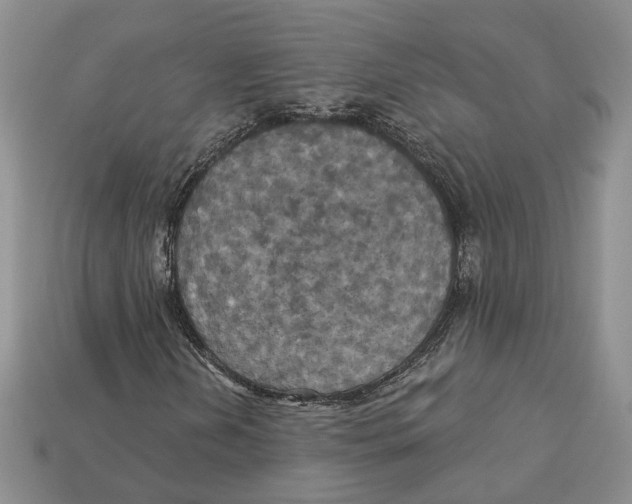 X0000113051202200909241448