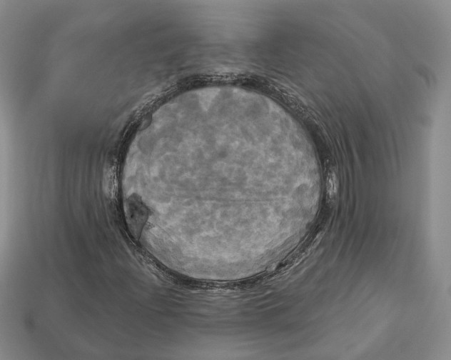 X0000113051204200909241448
