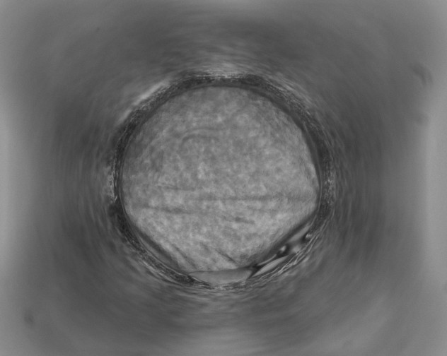 X0000113051205200909241448