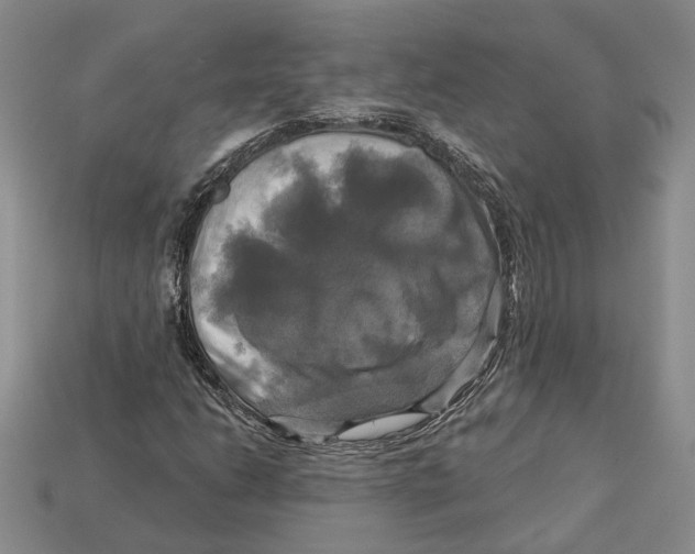 X0000113051206200909241448