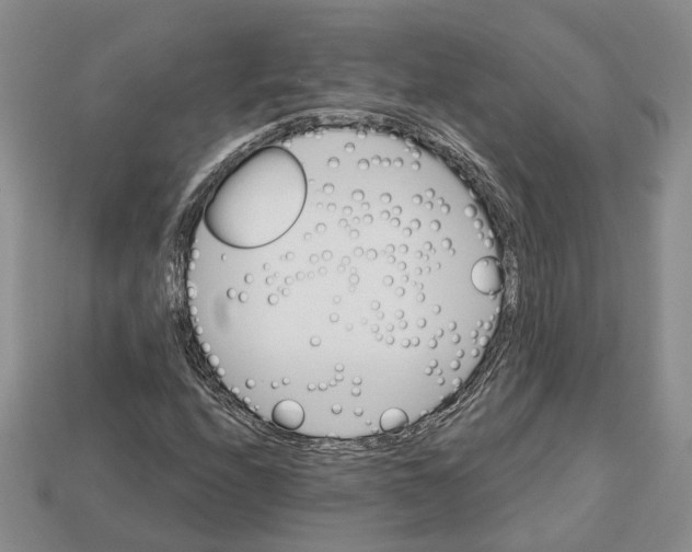 X0000113051208200909241448