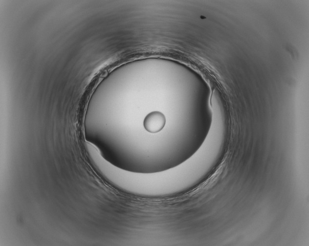 X0000113051210200909241448