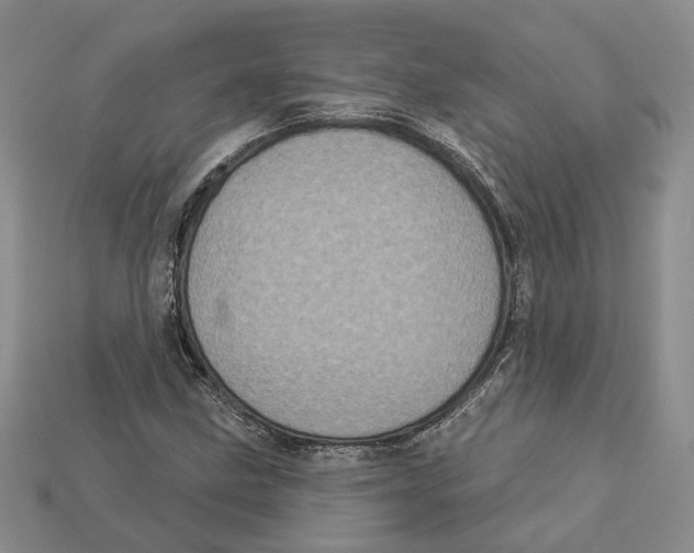 X0000113051211200909241448