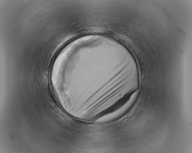 X0000113051212200909241448