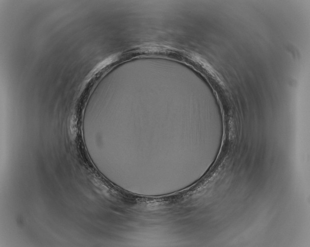 X0000113051213200909241448