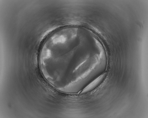 X0000113051214200909241448