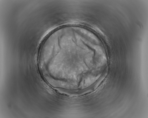 X0000113051216200909241448
