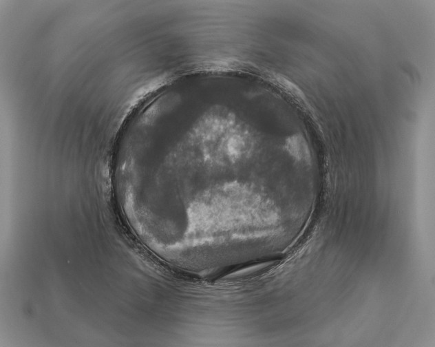 X0000113051218200909241448