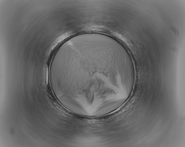 X0000113051219200909241448