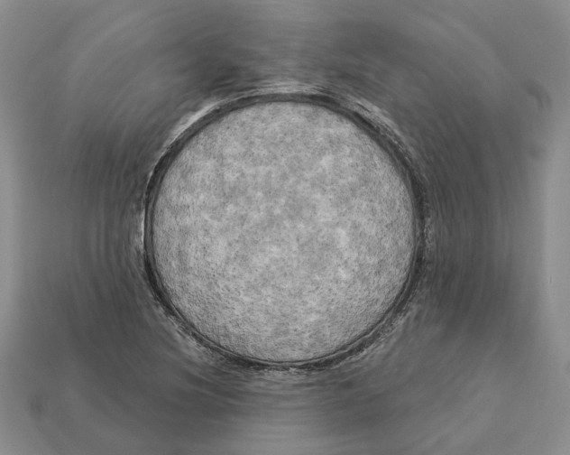 X0000113051220200909241448