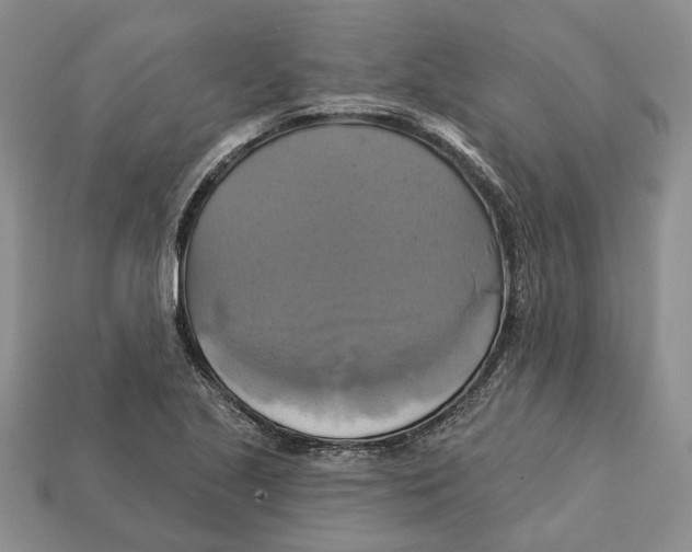 X0000113051221200909241448