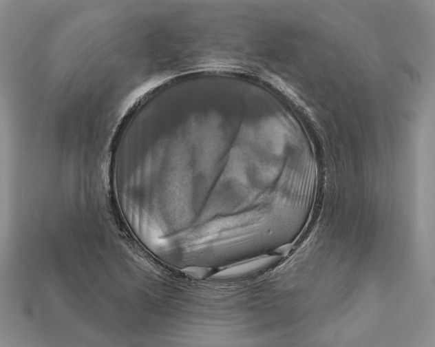 X0000113051222200909241448