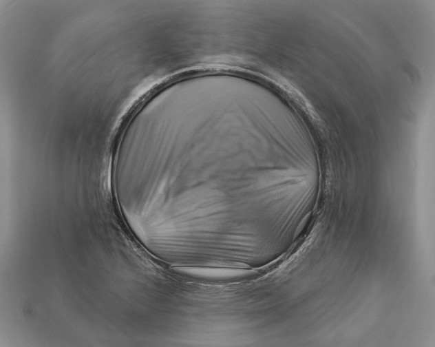 X0000113051224200909241448