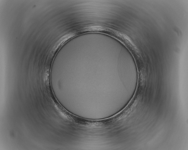 X0000113051225200909241448