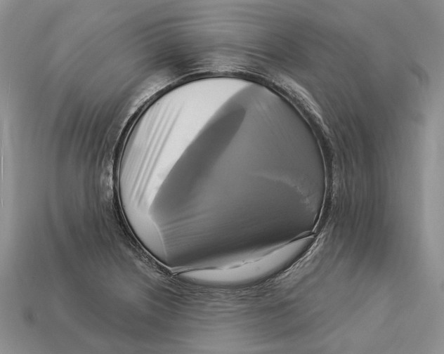 X0000113051226200909241448