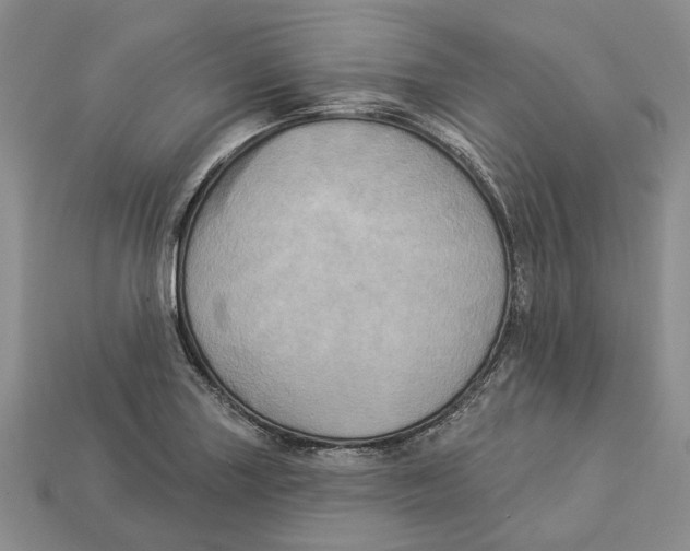 X0000113051227200909241448