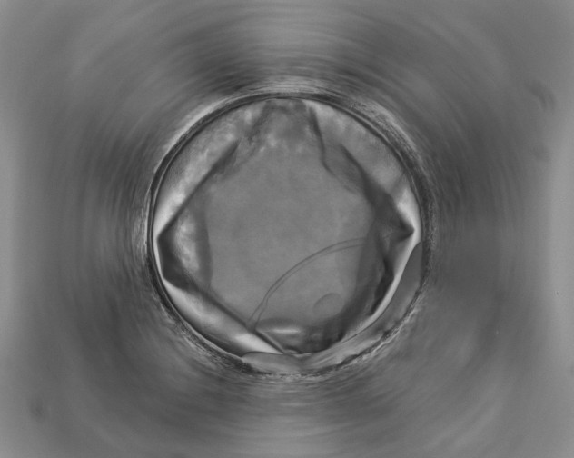 X0000113051228200909241448