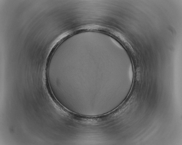 X0000113051229200909241448